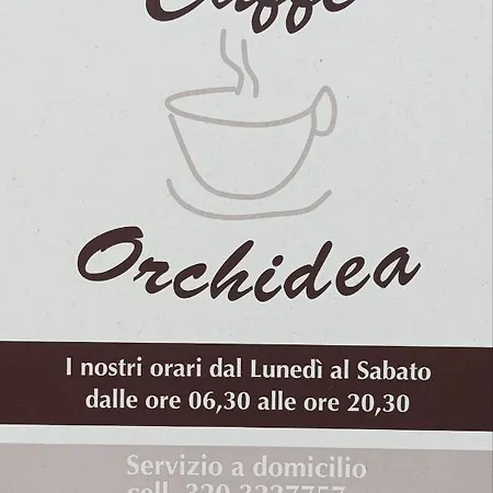 Dimoramadonnella